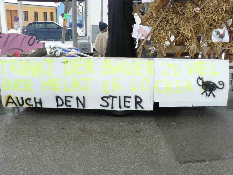 Faschingsumzug_2010 001.JPG