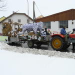 Faschingsumzug_2010 002.JPG